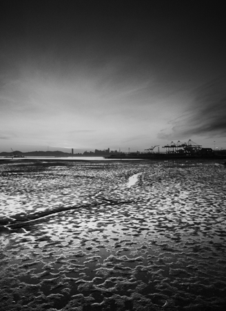 oakland tidal flats, winter 2011 bw